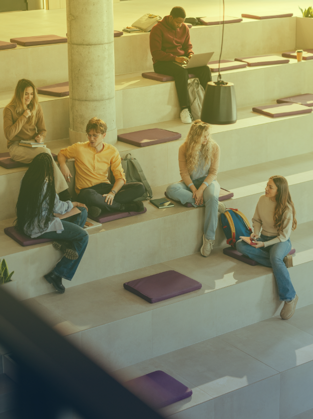 Avalon_Case_Laurea 1